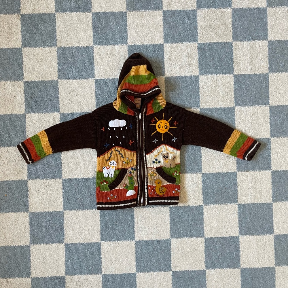 Peruvian Hooded Sweater
